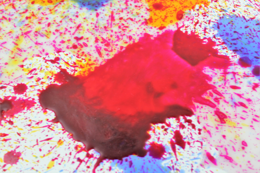 EXPOSE - Image 8