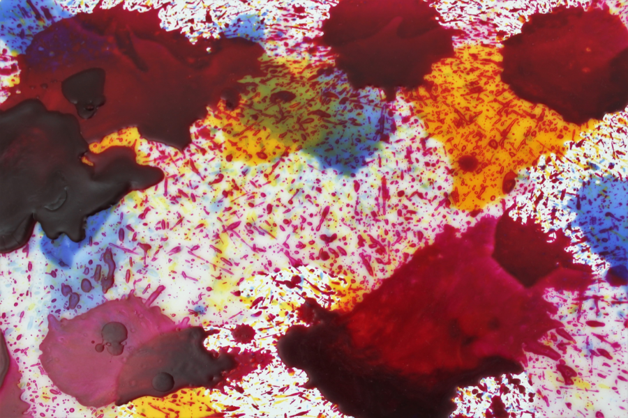 EXPOSE - Image 2