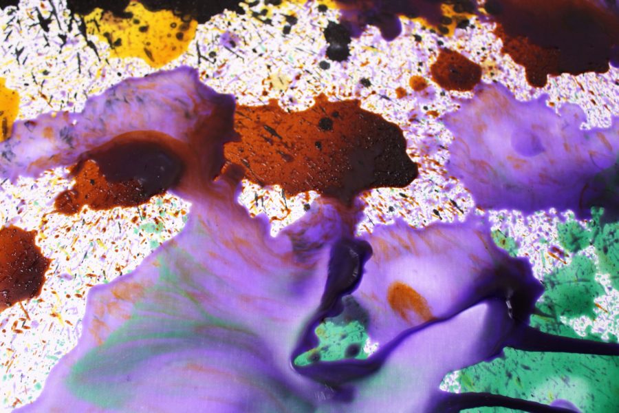 THE PURPLE BUTTERFLY - Image 2