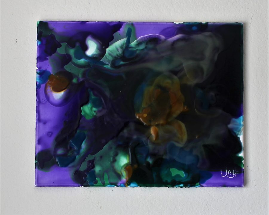 TRAPPED TURTLE - Image 5