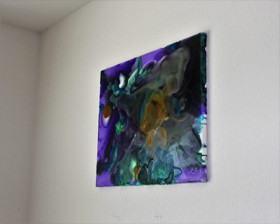 TRAPPED TURTLE - Image 6